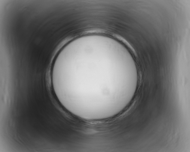 X0000099461274200805090740