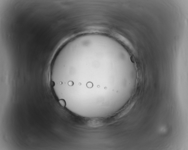 X0000099461275200805090740