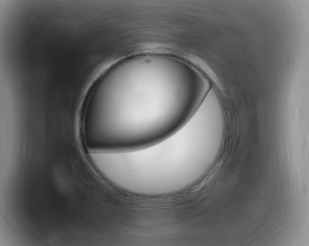 X0000099461277200805090740