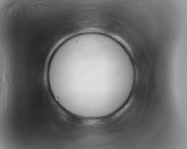 X0000099461278200805090740