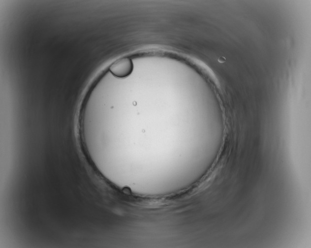 X0000099461279200805090740