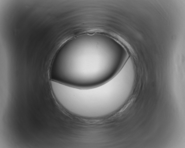 X0000099461281200805090740