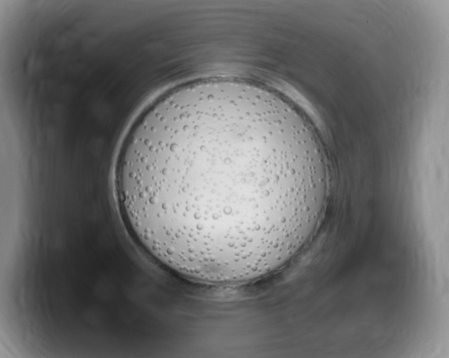 X0000099461283200805090740