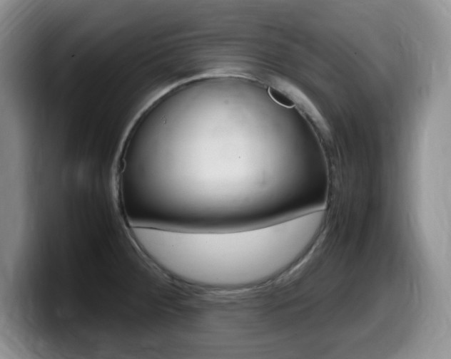 X0000099461284200805090740