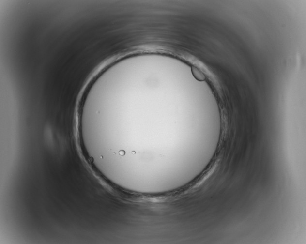 X0000099461286200805090740