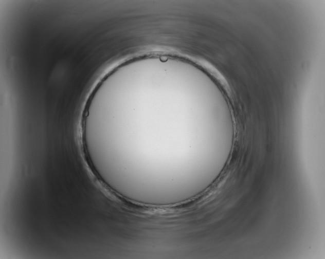 X0000099461287200805090740