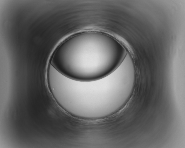 X0000099461288200805090740