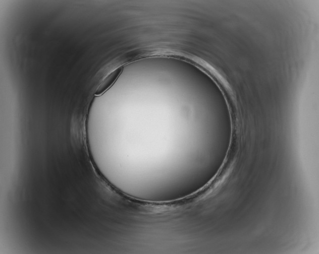 X0000099461289200805090740
