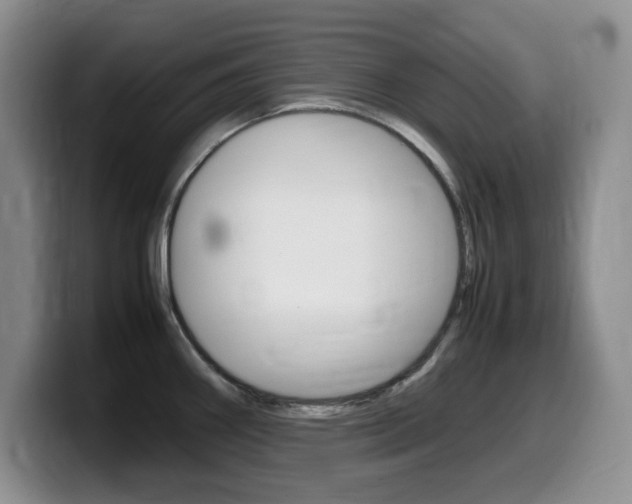 X0000099461290200805090740