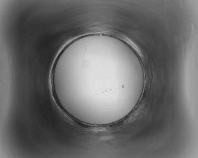 X0000099461291200805090740