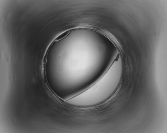 X0000099461292200805090740