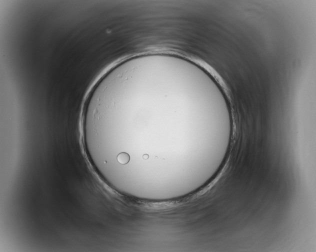 X0000099461294200805090740