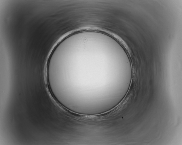 X0000099461295200805090740