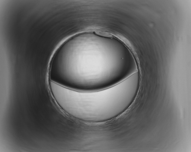 X0000099461296200805090740