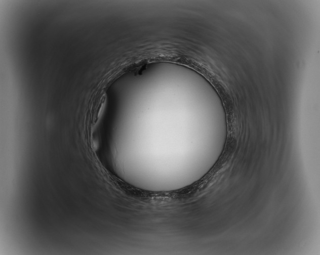 X0000099461297200805090739