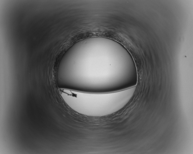 X0000099461298200805090739