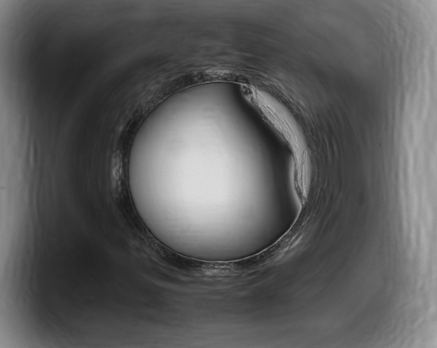 X0000099461299200805090739