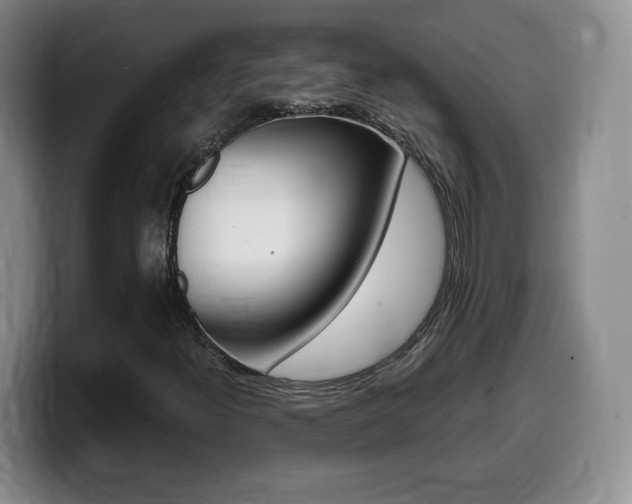 X0000099461300200805090739