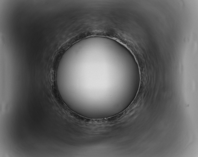X0000099461301200805090739