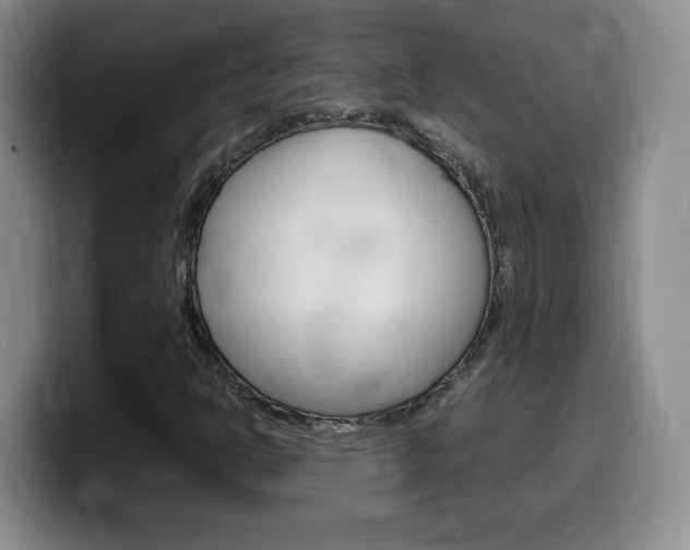 X0000099461302200805090739