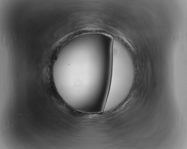 X0000099461304200805090739
