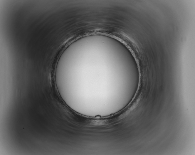X0000099461305200805090739