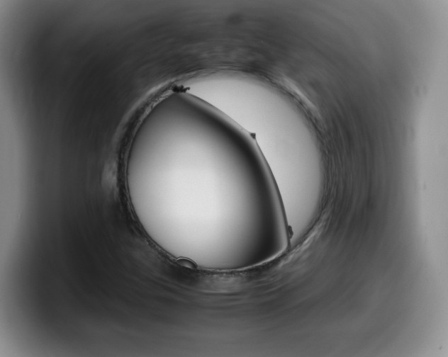 X0000099461307200805090739