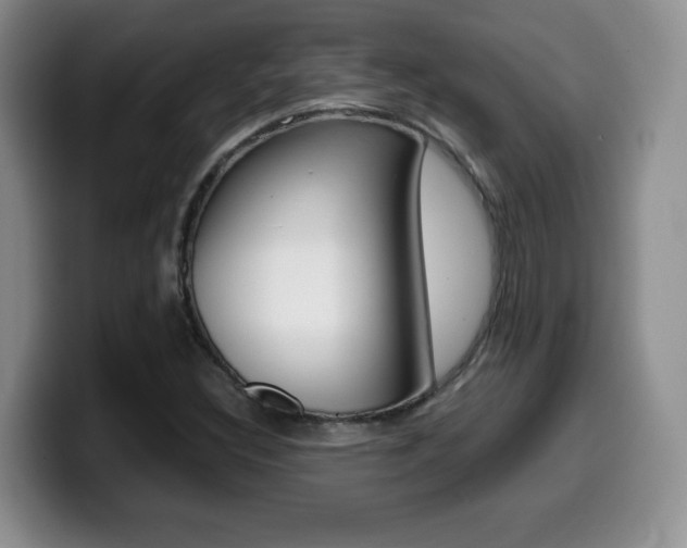X0000099461308200805090739