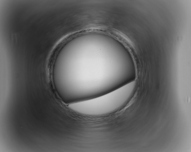 X0000099461310200805090739