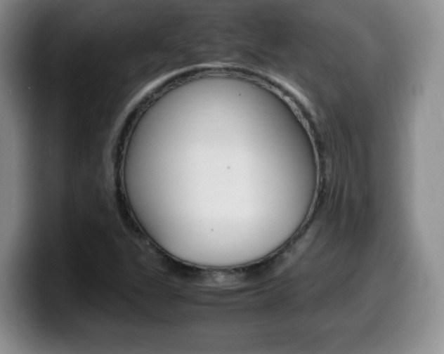 X0000099461311200805090739