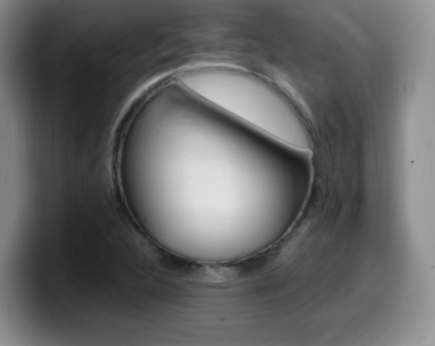 X0000099461312200805090739