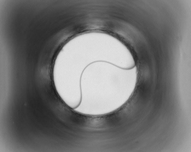 X0000099461314200805090739