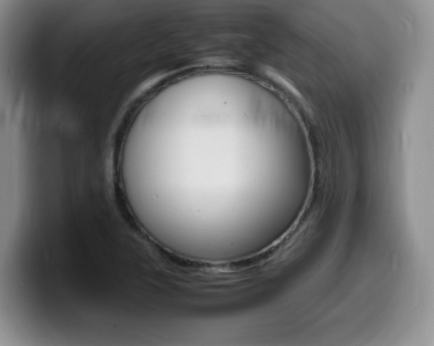 X0000099461315200805090739