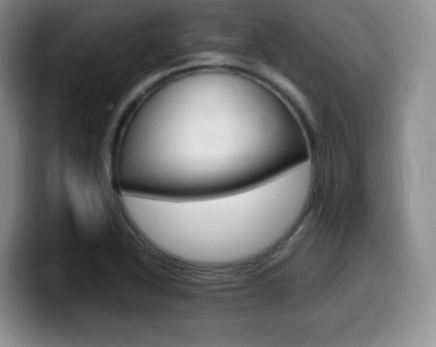 X0000099461318200805090739