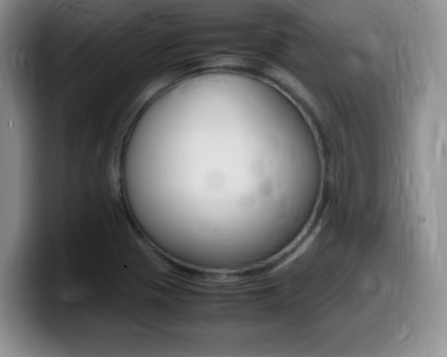 X0000099461321200805090739