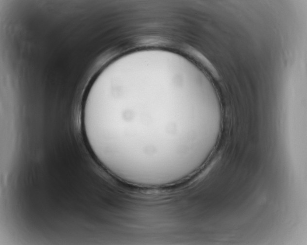 X0000099461322200805090739