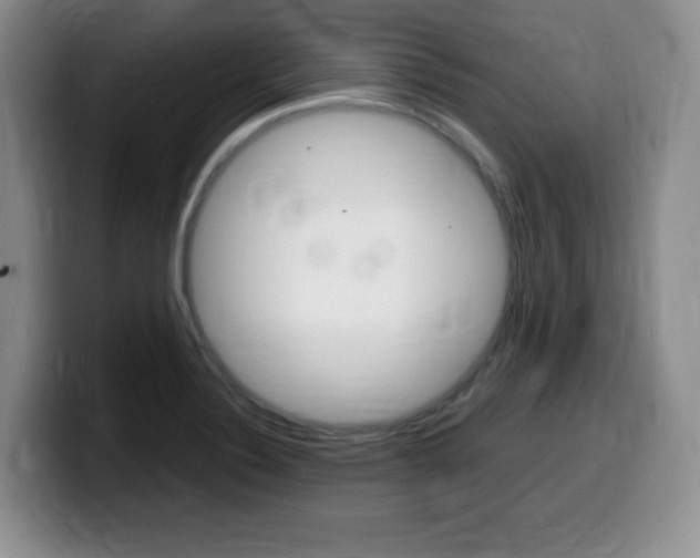 X0000099461324200805090739