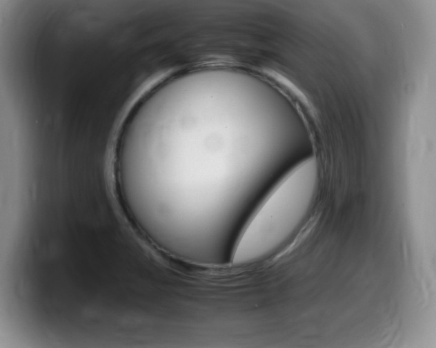 X0000099461325200805090739