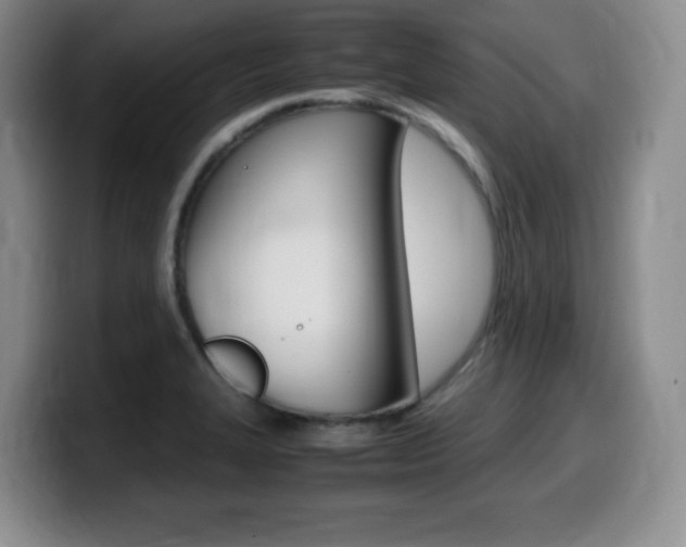 X0000099461327200805090739