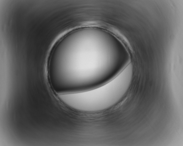 X0000099461328200805090739