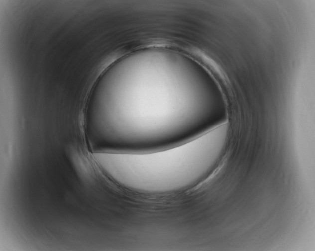 X0000099461329200805090739