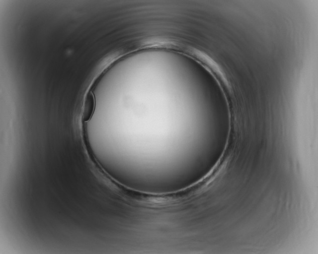 X0000099461330200805090740
