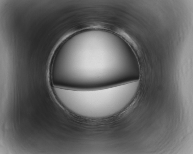 X0000099461331200805090740