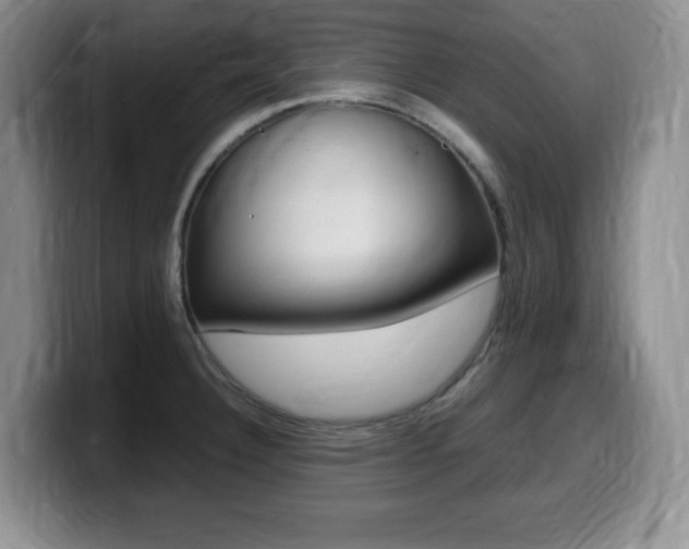 X0000099461332200805090740