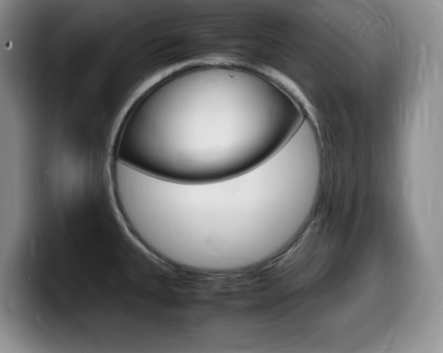 X0000099461335200805090740