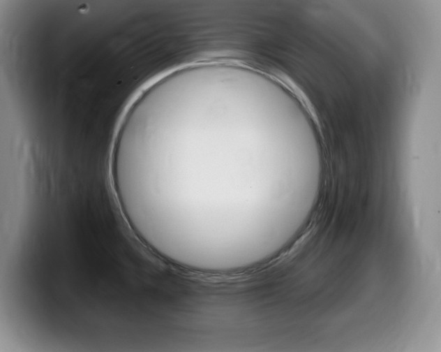 X0000099461336200805090740