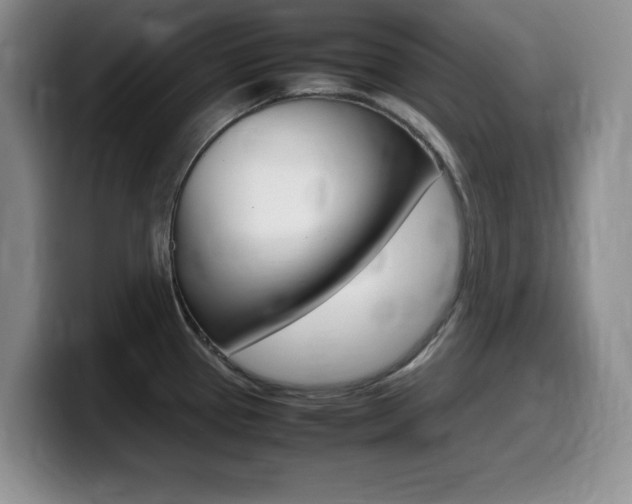 X0000099461337200805090740