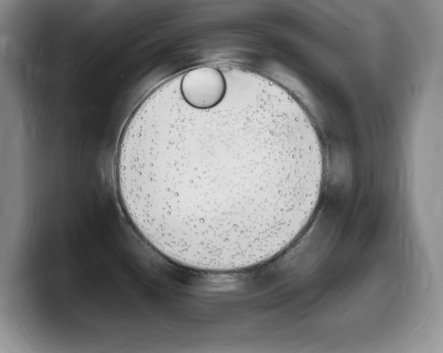X0000099461338200805090740