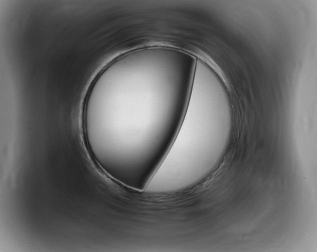 X0000099461339200805090740