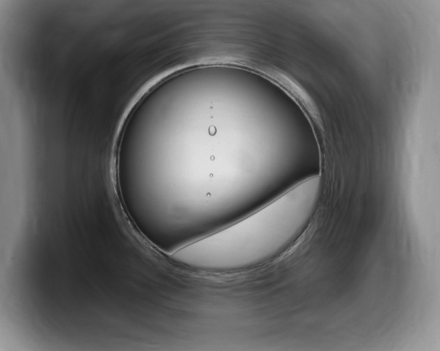X0000099461340200805090740